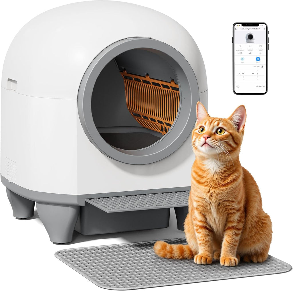 CycleCat